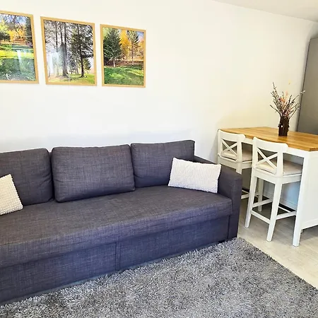 Modular Cuib De Vultur Chalet *
